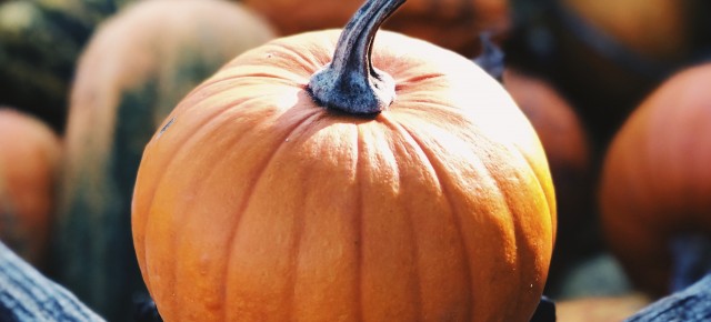 close up of a pumpkin